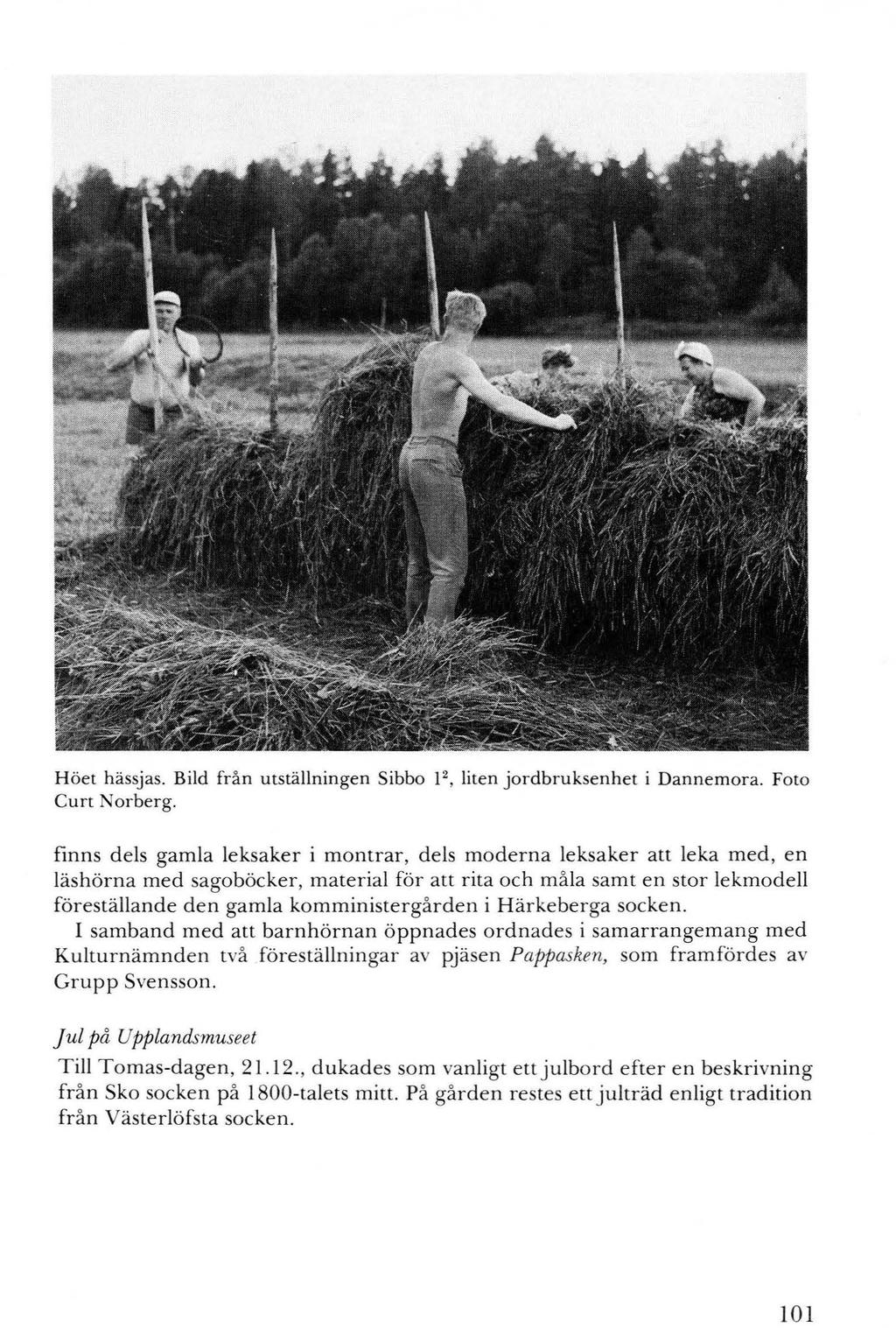 101 Höet hässjas. Bild från utställningen Sibbo 1 2, liten jordbruksenhet i Dannemora. Foto Curt Norberg.
