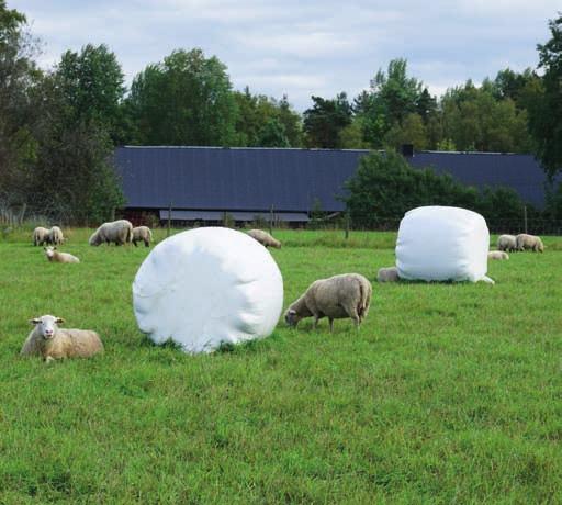 slåtter- och betesvallar Intensiv lammproduktion BLANDNINGSFÖRSLAG 2018 säljs i renvara Med fokus på tillväxt Högavkastande blandningsförslag för intensiv betesproduktion under sommar och höst i