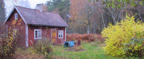 Från redaktören! Brasan och ljusen är tända och kaffet är kokt, trångt och mysigt.