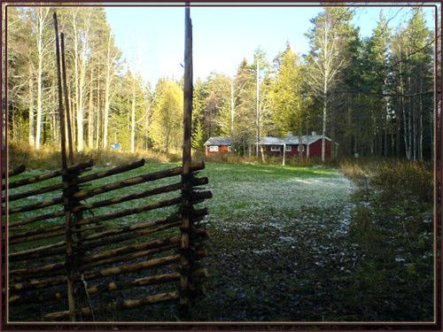 November 06 20