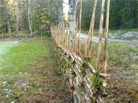 Det var dags för årets upplaga av 25-manna och orienteringsklubbar från hela Norden var på plats för att kora den bästa breddklubben.