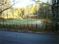 Även om många löpare var missnöjda med sina lopp i den tekniskt svåra terrängen, kunde vi efter dagens slut konstatera att båda lagen fullföljt tävlingen med godkänt resultat, dessutom utan omstart.