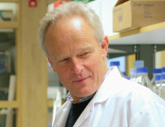 PROJEKT IDES Indikation: Organtransplantation FORSKNING PROOF OF CONCEPT PREKLINISK UTVECKLING FAS I FAS II UTVECKLINGSSTATUS UTVECKLINGSMÅL matosus), Myasthenia Gravis, Pemfigus, Guillain- Barrés