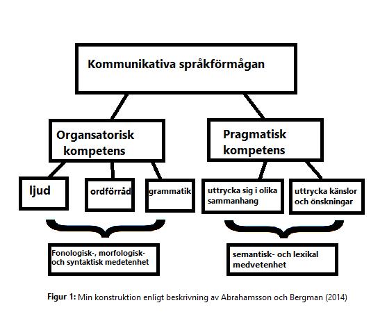 3.3 Tidigare forskning om uttal i andraspråk I tal- och läsinlärningen behöver eleven utveckla en fonologisk medvetenhet, som innebär att eleven är medveten om att ord består av enskilda ljud och