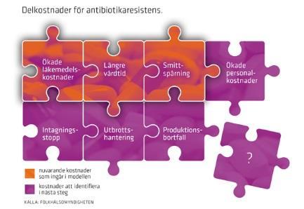 Ekonomiska aspekter av antibiotikaresistens SKAR - projektet En kartläggning av de framtida merkostnader som antibiotikaresistens medför för sjukvården och samhället.