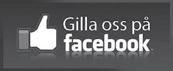 Aktuellt i SAMHÄLLSINFORMATION FINSTRÖM DISTRIBUERAS TILL ALLA HUSHÅLL OCH FÖRETAG I FINSTRÖM NR 10/ DECEMBER 2018 Luciakonsert Kommundirektörens kolumn Sidan 2 Boktips Sidan 3 med Finströms Lucia i