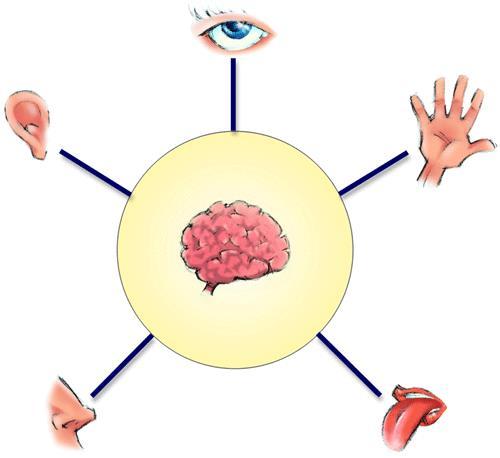 Perception - hur man upplever sinnesintryck och hur man tolkar det man upplever.