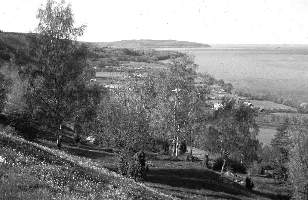 8 RESULTAT OCH ERFARENHETER FRÅN PROJEKT ÖSTRA VÄTTERNBRANTEN Bakgrund Naturintressena har stärkts I många år har kunskapen funnits om att det i Östra Vätterbranterna finns ovanligt höga naturvärden.