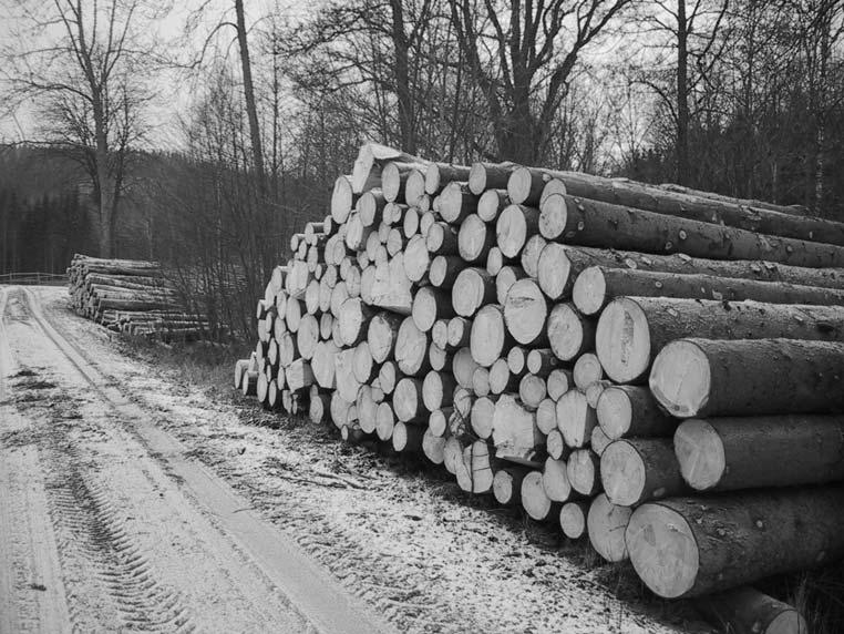10 RESULTAT OCH ERFARENHETER FRÅN PROJEKT ÖSTRA VÄTTERNBRANTEN Södra skogsägarna (Södra) Den största skogliga aktören i Vätterbrantsområdet är Södra Skogsägarna.