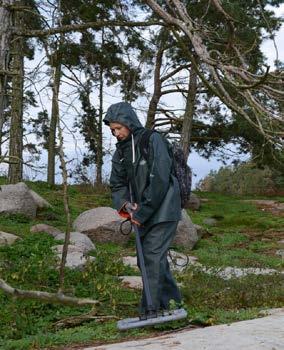 Medellängden hos abborrarna var 20 cm, gösen 17 cm och hos ålen 51 cm. Merparten av fiskarna släpptes ut vid fyra olika platser, se bild (figur 8).