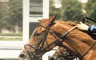 TRIO - 000 dt Ca kl. PARTILLED-HANDICAP.00 kr.000-.00-.00-.00-.00 Klass. För -åriga och äldre hästar. 000 dt Vikt: Aktuellt handicaptal, -åriga minus, kg.