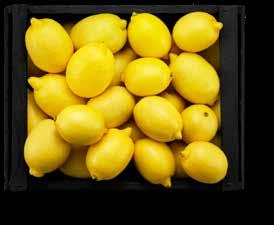 APELSINER 12)= /kg