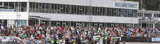 LOVE PALEMA 9 15,0 M 1,3 AK 13,5 AM 51.800 7,svbr. v. e Adams Hall - 17: 13 0-1-1 15,0a 35.400 16: 1 1-3-1 1,3a 105.