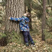 180108 Våneviks gammelskog framtidens skog Våneviks gammelskog bör bevaras i sin helhet och göras tillgänglig för alla och för framtiden För oss som arbetat med denna kartläggning är slutsatsen