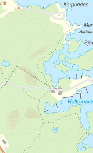 Kärlväxter Kattfot Antennaria dioica Årets växt 2012 SVENSKA BOTANISKA FÖRENINGEN Årets växt 2012 Hotbedömning Svenska Botaniska Föreningen skriver.