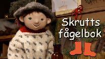 Skrutts Fågelbok Vi tittade på UR filmen om Skrutt och småfåglarna. Där fick vi lära oss en massa om fåglar. Men oj vad många det fanns! De låter väldigt roligt tycker barnen.