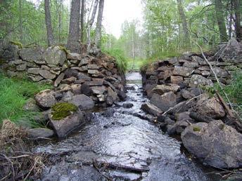 Så få stenar som möjligt togs bort i dammvallens mitt för att skapa fri vandringsväg för fisken.