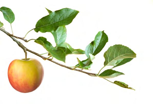 KÖKET - hemmets hjärta Köket är hemmets hjärta. Här lagas festmåltider och snabba vardagsfrukostar, värmande te och svala drinkar till sommarkvällen. Kort sagt, du ska trivas året runt.