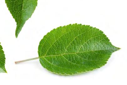 PERSONLIGT MÖTE När du bokat din bostad får du möjligheten att välja inredning.