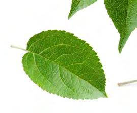 Vår kundansvariga kommer också att bjuda in dig till ett personligt möte där ni diskuterar dina önskemål.