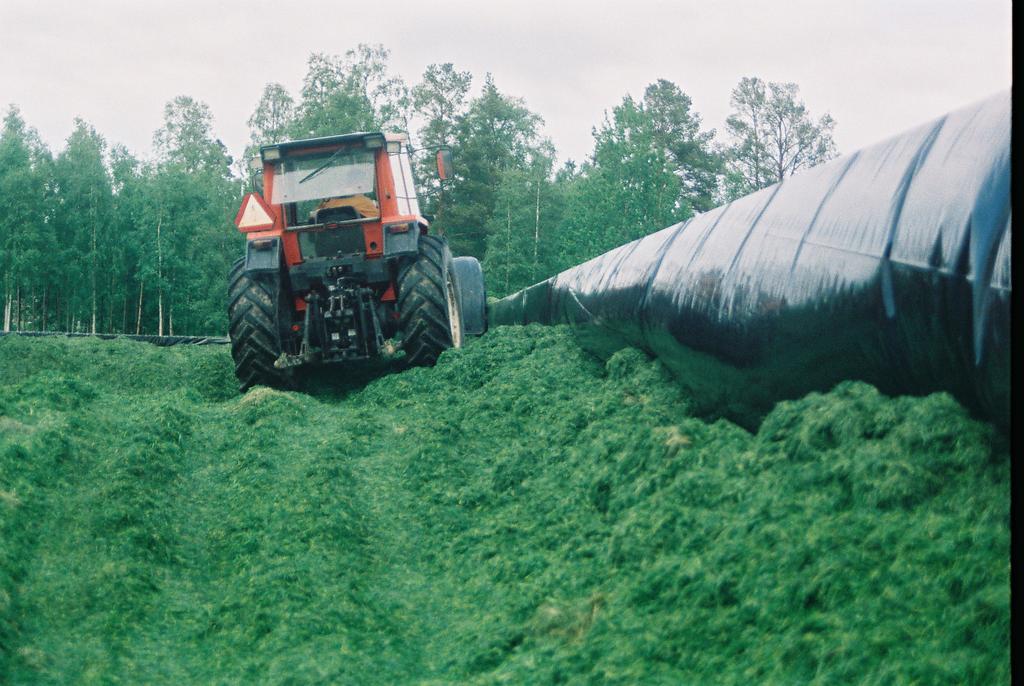 University of Agricultural Sciences