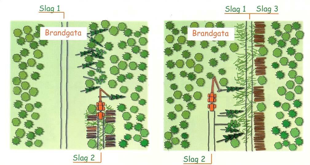 I det tredje slaget körde skördaren åter längs första slaget och upparbetade de träd som fällts in från brandgatan. Studieled B.