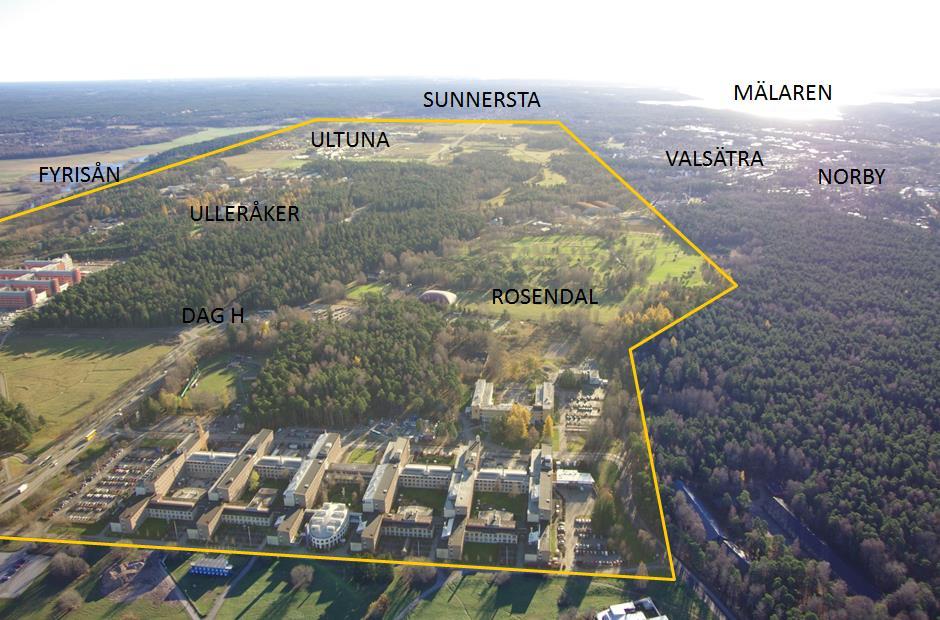 Södra