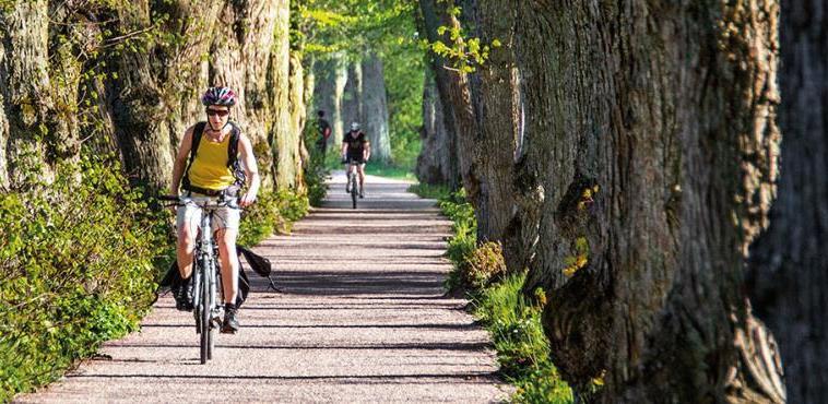 Koncentrera och blanda Livskvalitet i