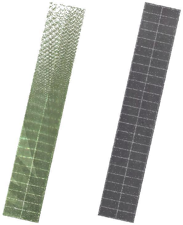 3.3.4 Framställning och kontroll av markmodeller Punktmolnet från UAS-bilderna och de två punktmolnen från laserskanningarna importerades till SBG Geo och klipptes till samma utsträckning som