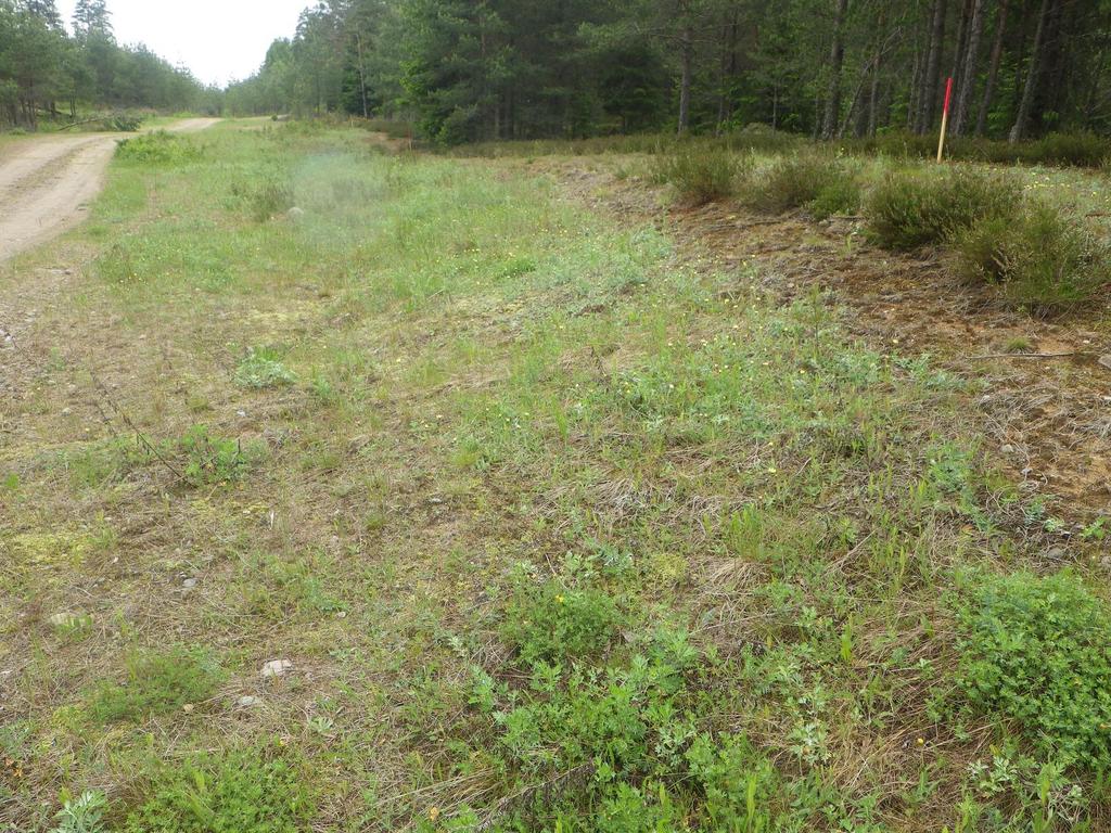 13 Område 6 0,8 ha Sandig hed Klass 3, Påtagligt naturvärde Naturvärdesbedömning Området har ett visst biotopvärde knutet till en naturtyp med många specialiserade arter.