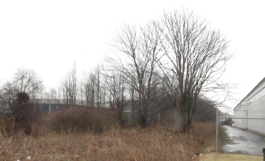 4 (7) Bakgrund Ett grönområde vid Exportgatan utreds för exploatering. Skälet är att underlätta trafiksituationen för de verksamheter som finns i området.