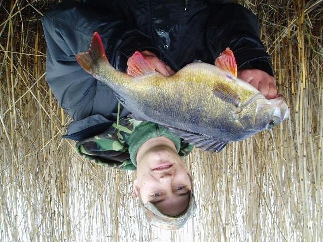 Månadens fisk Abborre 22 gr fångad av eter Söderling i Kalmarsund 06-11-2 Jag och kompisen Rickard var under några dagar ute på abborrfiske. Vi testade runt på både kända och okända ställen i sundet.