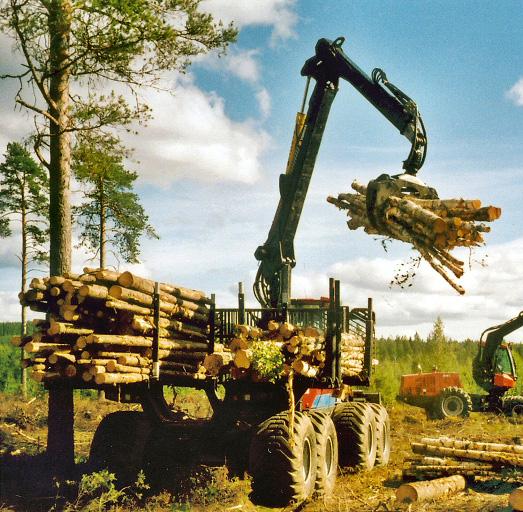 ARBETSRAPPORT FRÅN SKOGFORSK NR 584 2004 Skotning med grova mellanstöttor i breda lastutrymmen Ulf Hallonborg & Berndt Nordén