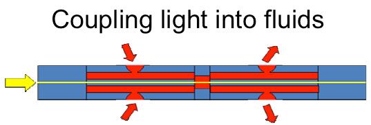 Low loss coupling of light (no
