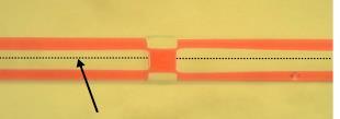 catheter multi-lumen fluidics