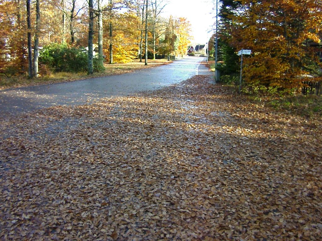 01 05 04 03 02 Komponentredovisning 07 06 01 Gör en skadeinventering 04 Alt 2.