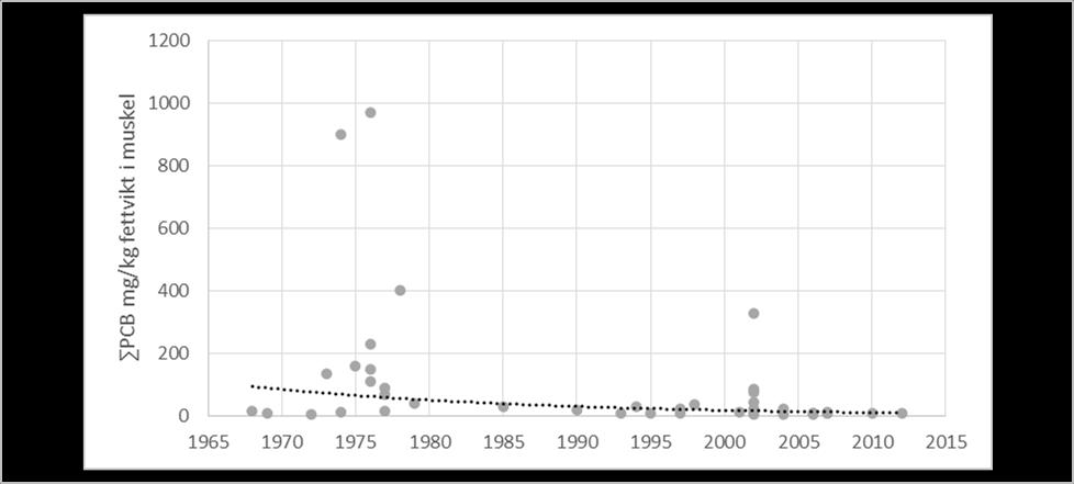 Jag fann ingen signifikant trend för Cd i lever (p=0,28) eller muskel (p=0,38) (Figur 6), Nio av 45 halter (20 %) i muskel låg under detektionsgränsen (0,002-0,004 µg/g).