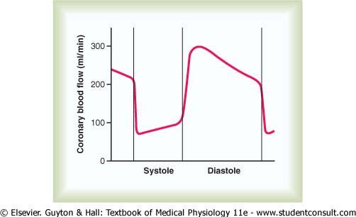 7. Hjärtats retledningssystem. A) Vad menas med sinusknutans pacemaker potential eller pre potential. 1p B) Kan du förklara hur den uppkommer, dvs vilka jonströmmar som åstadkommer den.
