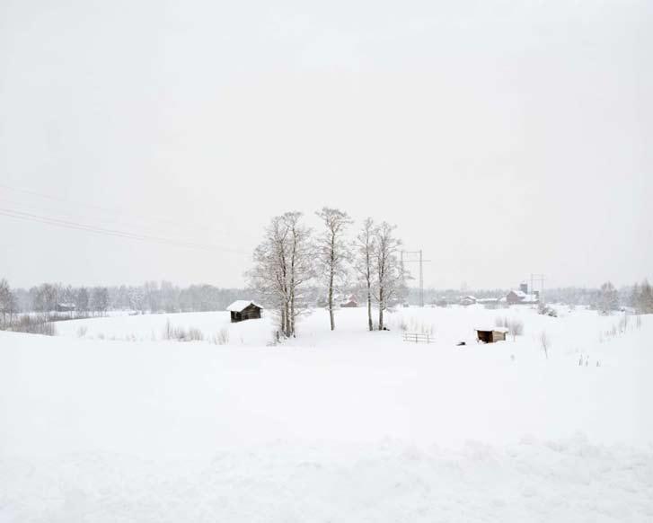 Norrfly,