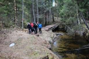 Sista etappen gick ut på Svågaleden och över gamla bron i Ängebo. Så var det bara sista vägbiten kvar tillbaks till Svågagården. Nästa vandring blir torsdag 25 maj. En Gökottetur till Gröntjärnen.