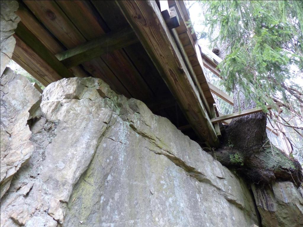 Figur 10. Östra sektionens östra fäste från sydväst. Den södra bärlinan vilar på en grov granrot. Granens rotsystem sträcker sig under hela östra brofästet. 2.4.