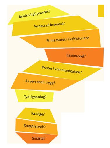 Behövs hjälpmedel? Det finns många bra hjälpmedel som kan ge personen stöd i sin vardag, till exempel tidshjälpmedel, kognitiva hjälpmedel, synoch hörselhjälpmedel. Anpassad kravnivå?