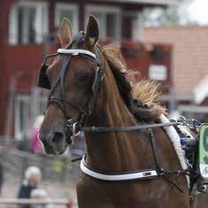 Efter en resa i fjärde-par utvändigt attackerade Per Linderoth mitt på den bortre långsidan. Cool Keeper gick sedan rejält sista halvvarvet och in på upploppet stred i princip halva fältet om seger.