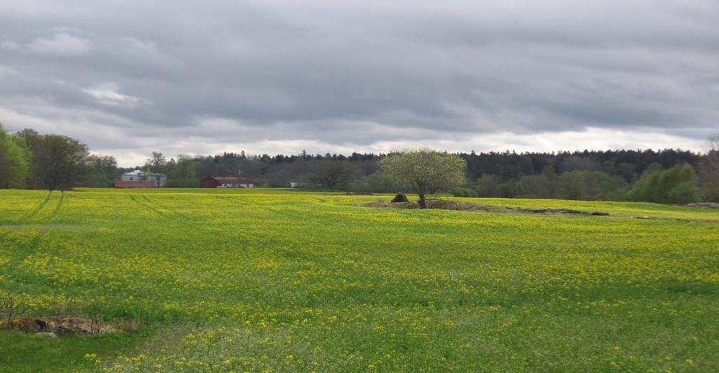Steg 5: Vilka hinder finns på vägen Exempel Lantbruksåtgärder Olika stödnivåer i de olika länsdelarna.