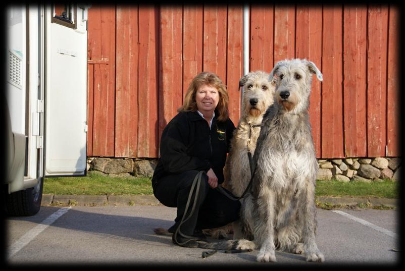 vad som händer