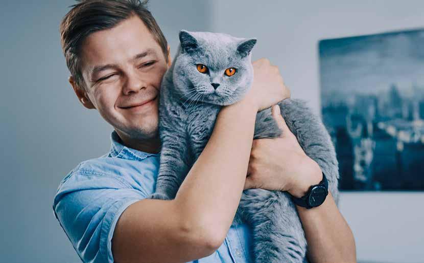 Kotja, brittiskt korthår, och Dima Vi kan försäkringar, sparande och pension Innehåller förköpsinformation Kattförsäkring 2018 Även någon med nio liv kan behöva en veterinär.