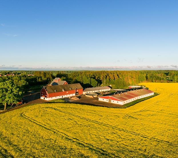 Naturligt kretslopp Kolinbindning på åker- och betesmark minskar den globala uppvärmningen Vallodling & mellangrödor ger god bördighet Gödsel används som gödningsmedel till