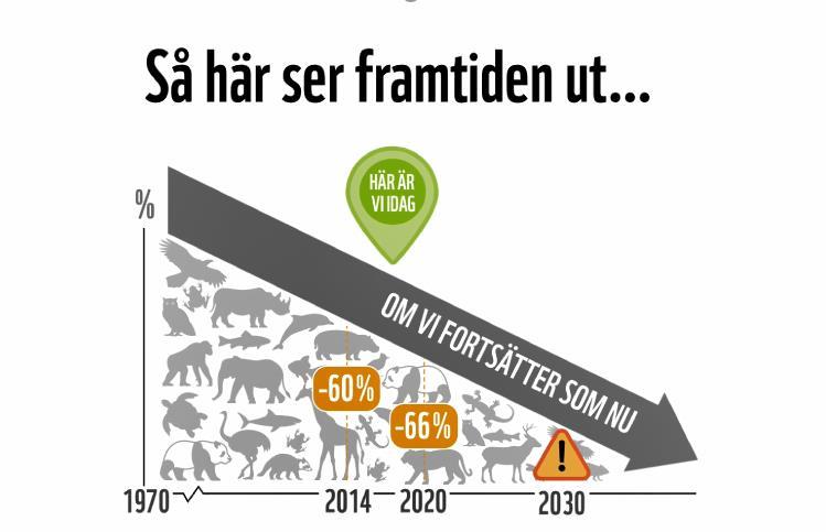 Visar undersökningar av 16 000 populationer av 4 500 arter vilda