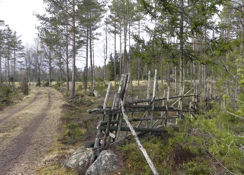 UV RAPPORT 2012:78 ARKEOLOGISK UTREDNING, STEG 1 Käshult