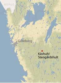 skala 1:100 000, samt utsnitt ur